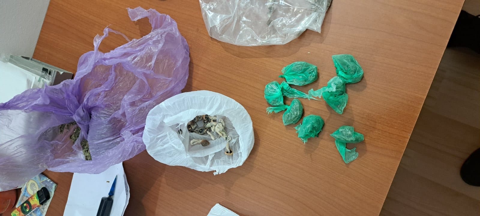 (ФОТО) Претрес во Велес, пронајдени халуциногени печурки, марихуана